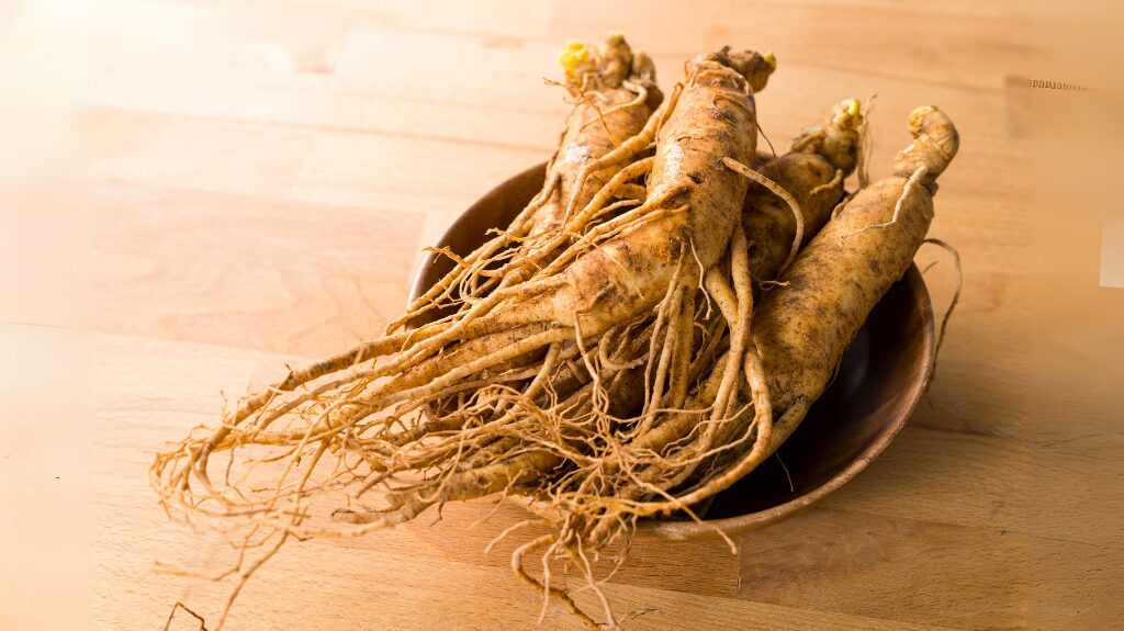 Ginseng panax