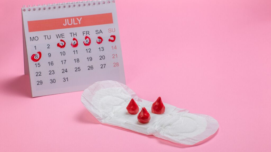 Entendendo a Menstruação: Um Guia Com Tudo o que Você Precisa Saber