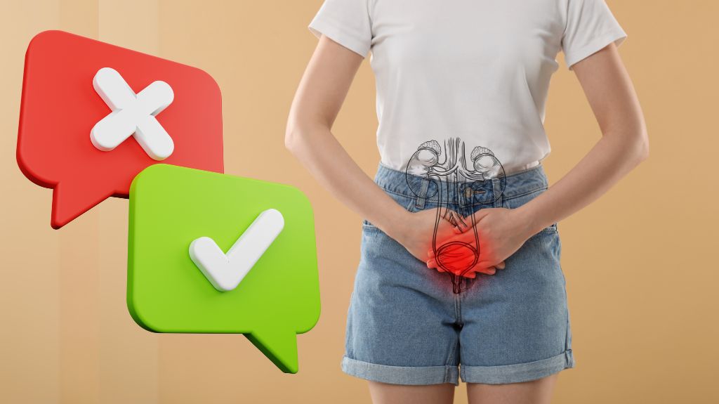 Mitos e Verdades sobre a Infecção Urinária: O que Realmente Funciona para Evitar